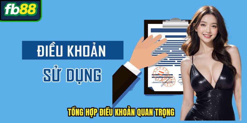 Tổng hợp điều khoản quan trọng